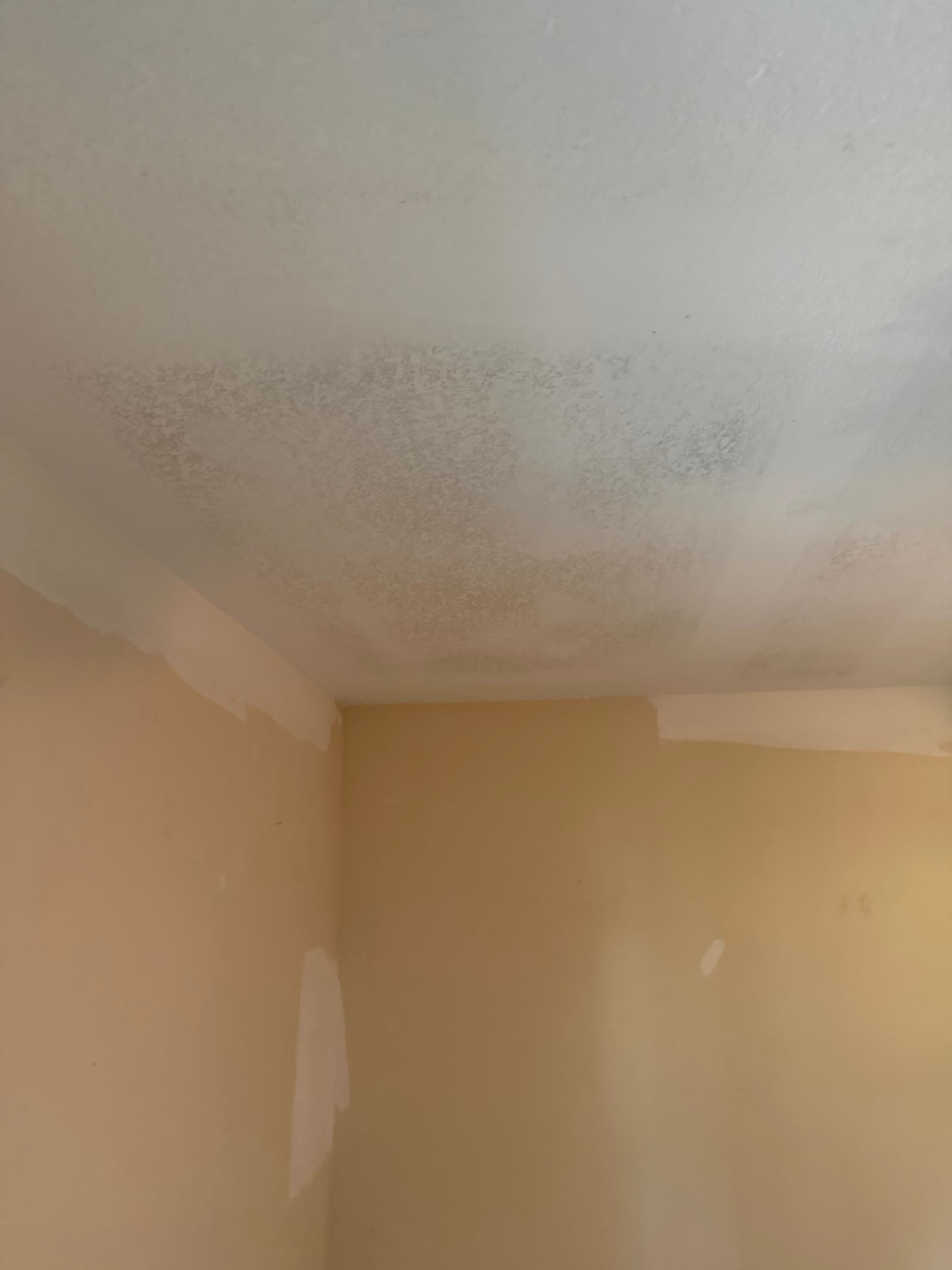 Repaired textured bathroom ceiling after repiping in Melbourne FL