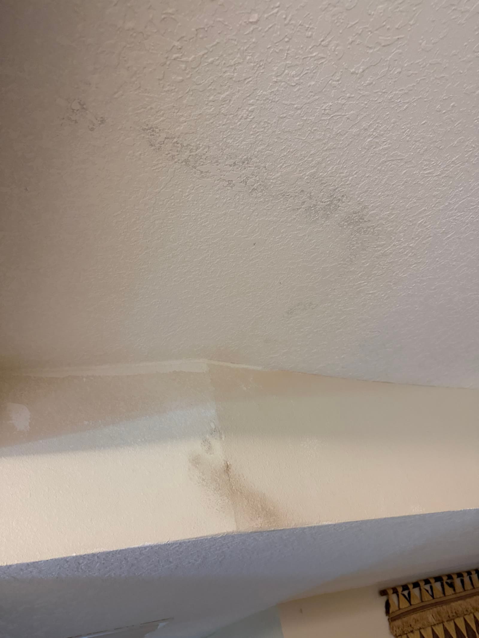 Completed ceiling patch and paint-ready finish after repiping in Melbourne FL