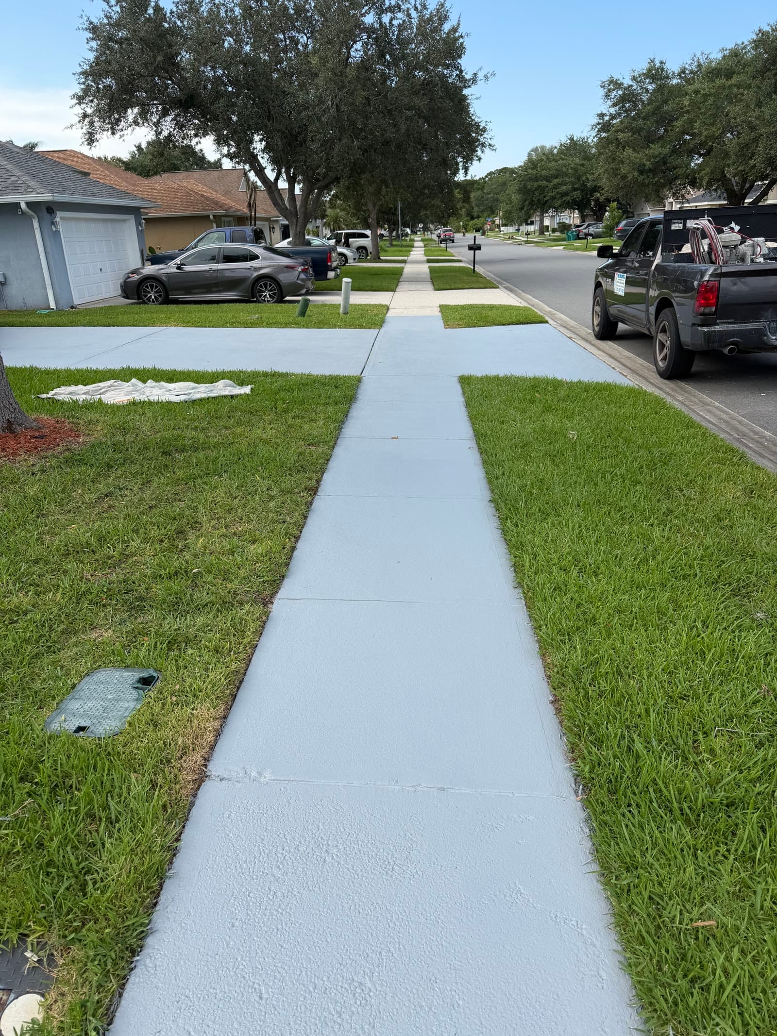 Freshly pressure washed and painted sidewalk in front of a Viera Suntree FL home