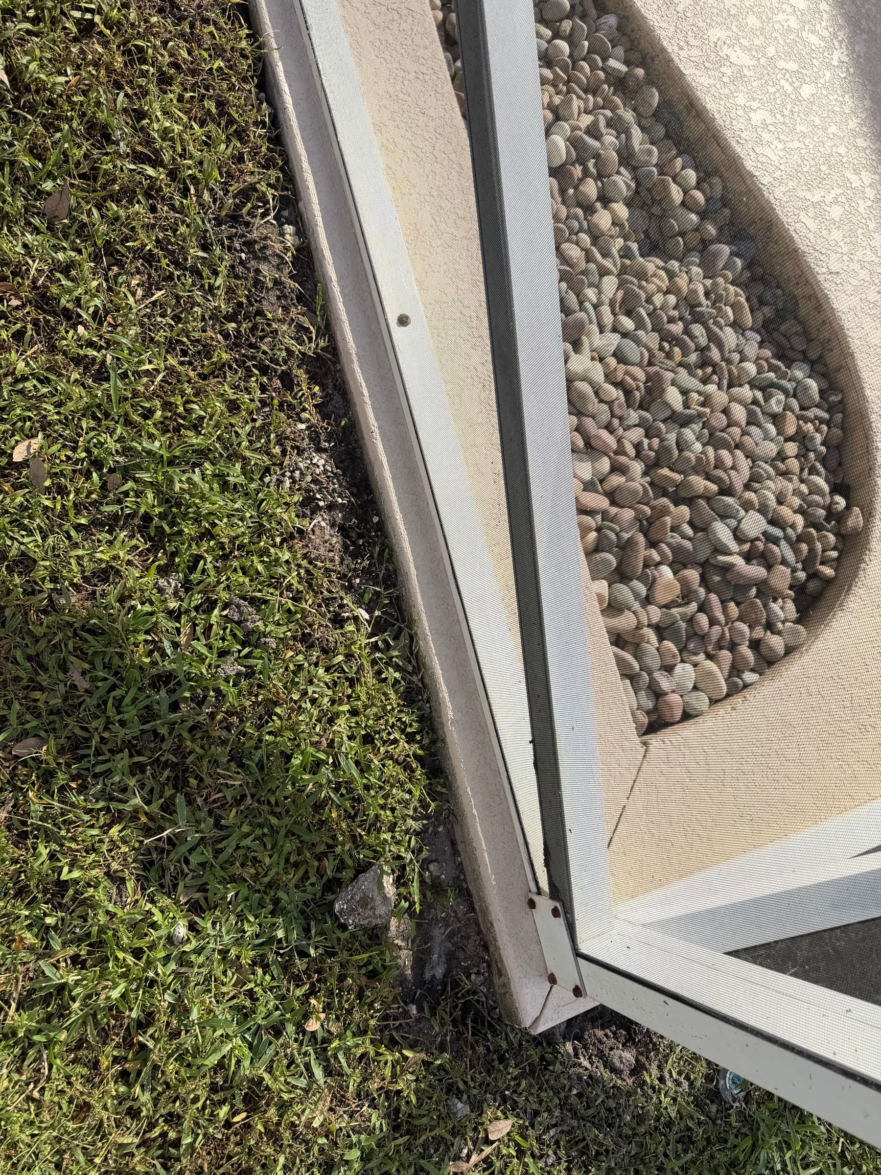 Completed pool-deck edge and stone border along the screened perimeter in Palm Bay FL